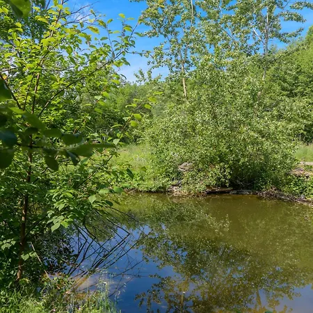 Charmante Maison En Bois 펜션 Dietwiller