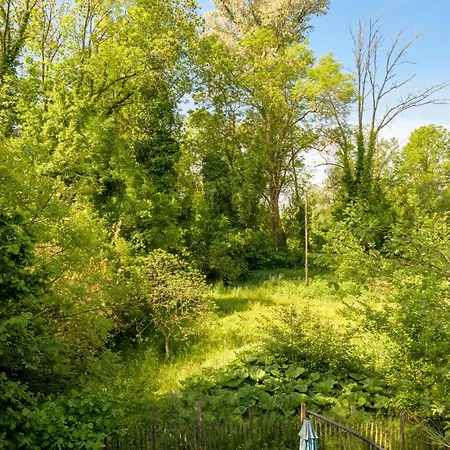 Charmante Maison En Bois *