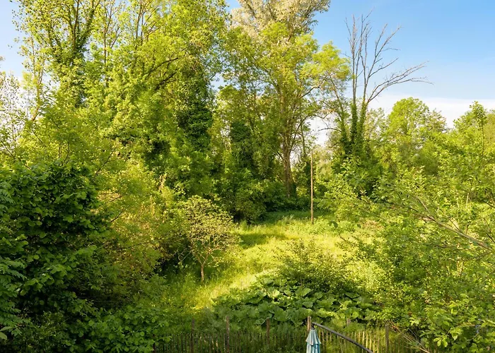 Charmante Maison En Bois *